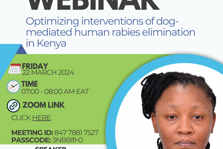 Optimizing interventions of dog-mediated human rabies elimination in Kenya