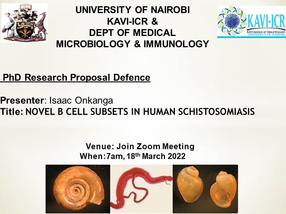 Ongoing Schistosomiasis Research