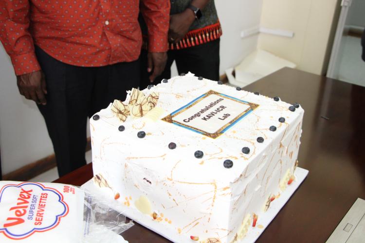 Celebratory Cake