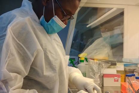 Matrona Mbendo Akiso dissecting the endocervical epithelium from a cervical tissue explant