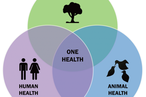 A global analysis of One Health Networks and the proliferation of One Health collaborations