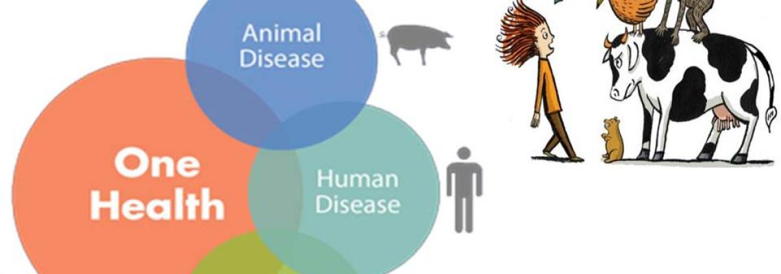 VECTOR-BORNE AND ZOONOTIC DISEASES RESEARCH