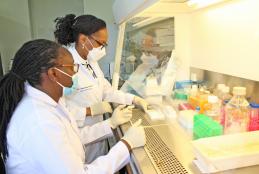 Department of Medical Microbiology & Immunology Research Laboratory
