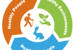 One Health